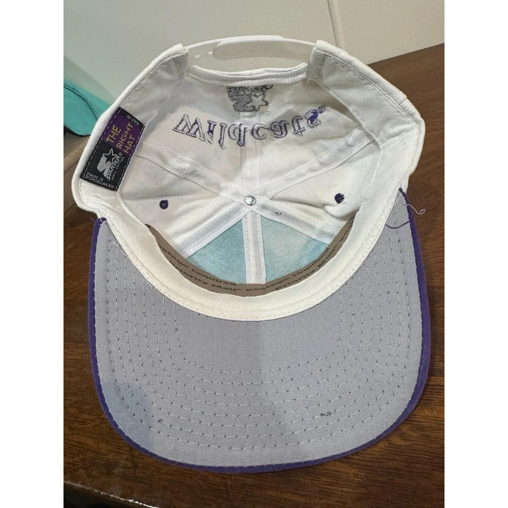 Vintage Northwestern Wildcats Hat Cap Snap Back‎ One Size White NCAA Starter
